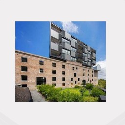 303 280 Jones Street Pyrmont Sydney NSW