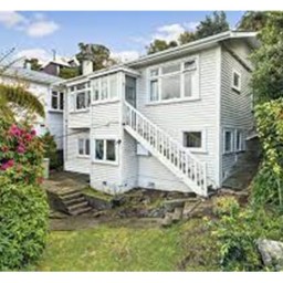 31 havelock mornington welly